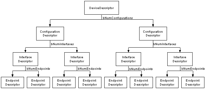 saelog5-descriptors-tree